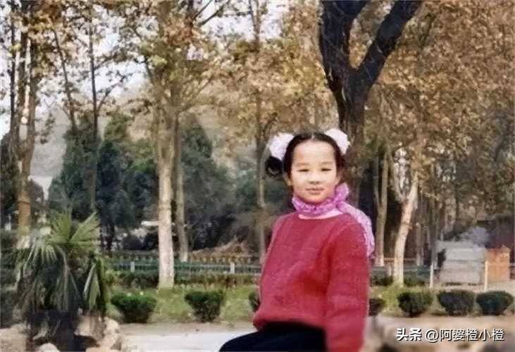 李谷一不再沉默，揭晓宋祖英唱歌真相，观众：原来是这样！