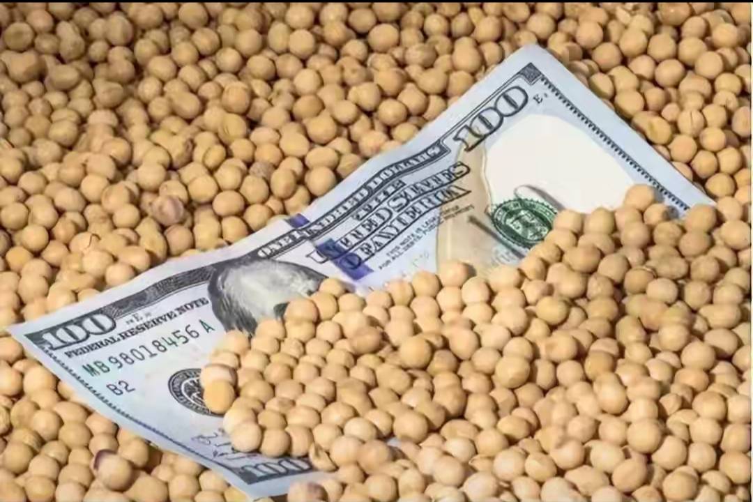 中国大豆进口数据公布，巴西躺赢！特朗普坐不住了，有求于华很快面谈