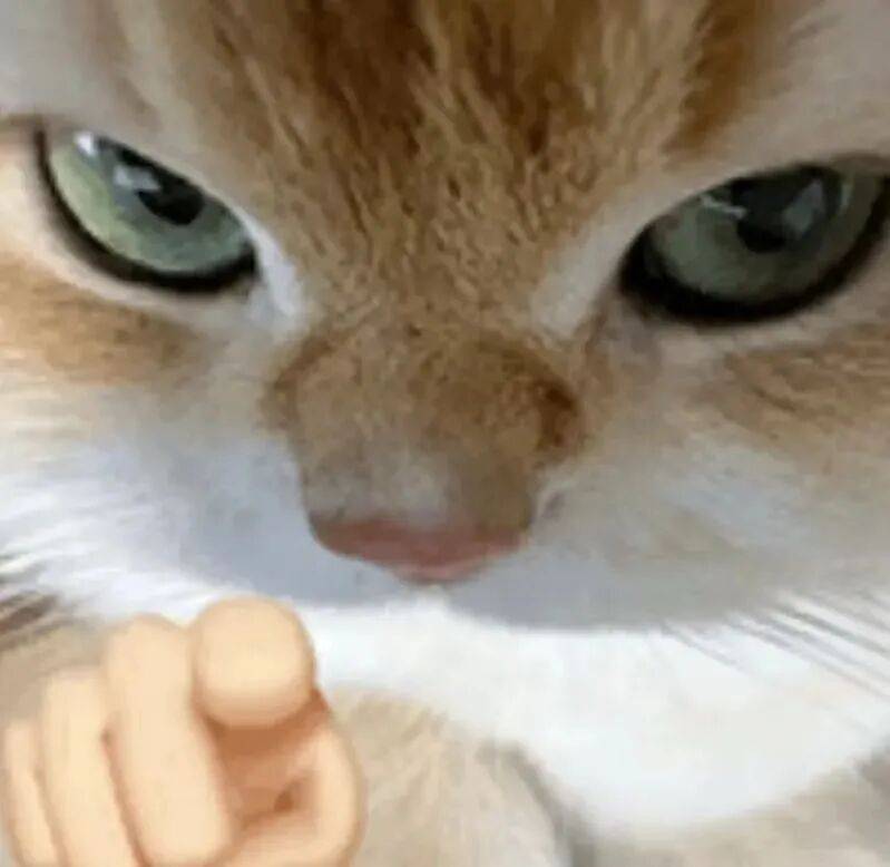 原创             广告被偷偷加长，平台正在悄悄偷走用户时间