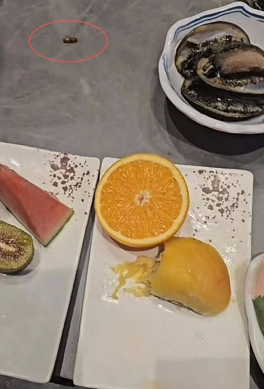 女子花4000吃自助遇蟑螂 餐厅：发现后继续吃，吃完要退款难接受