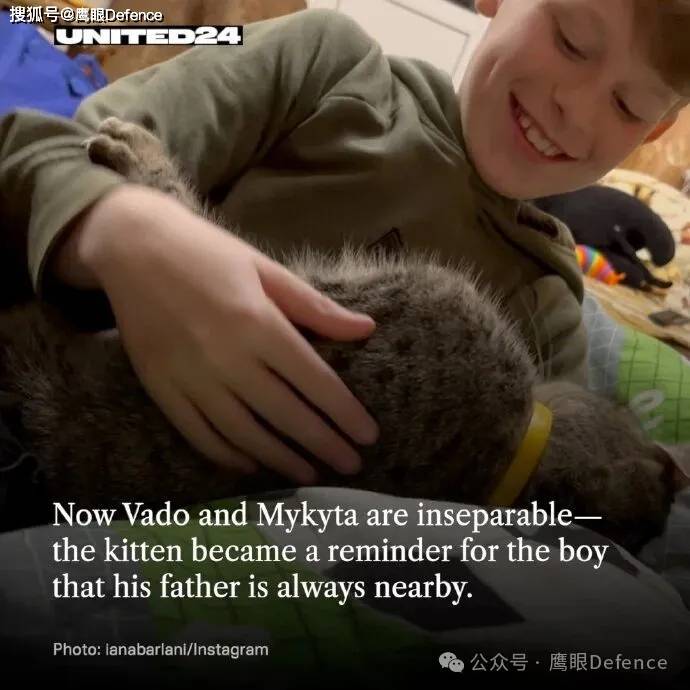 前线的动物们：俄博主称道马匹的好处，乌军心爱的猫猫和浣熊们