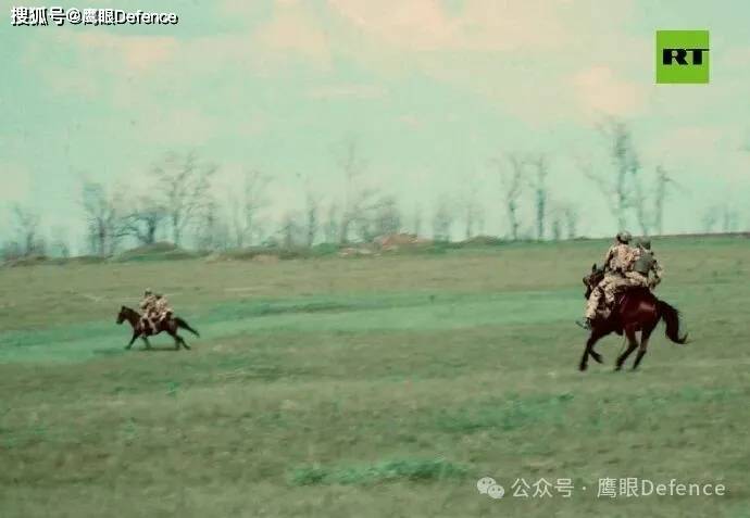前线的动物们：俄博主称道马匹的好处，乌军心爱的猫猫和浣熊们