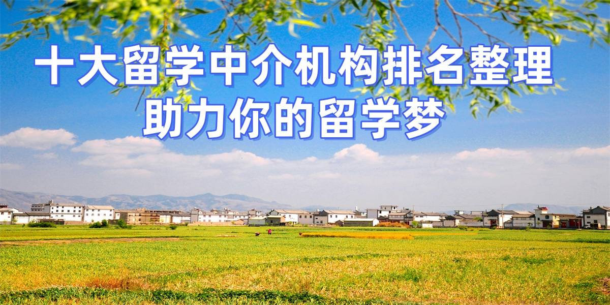 香港出国留学中介排名乐鱼体育- 乐鱼体育官网- APP世界杯指定平台