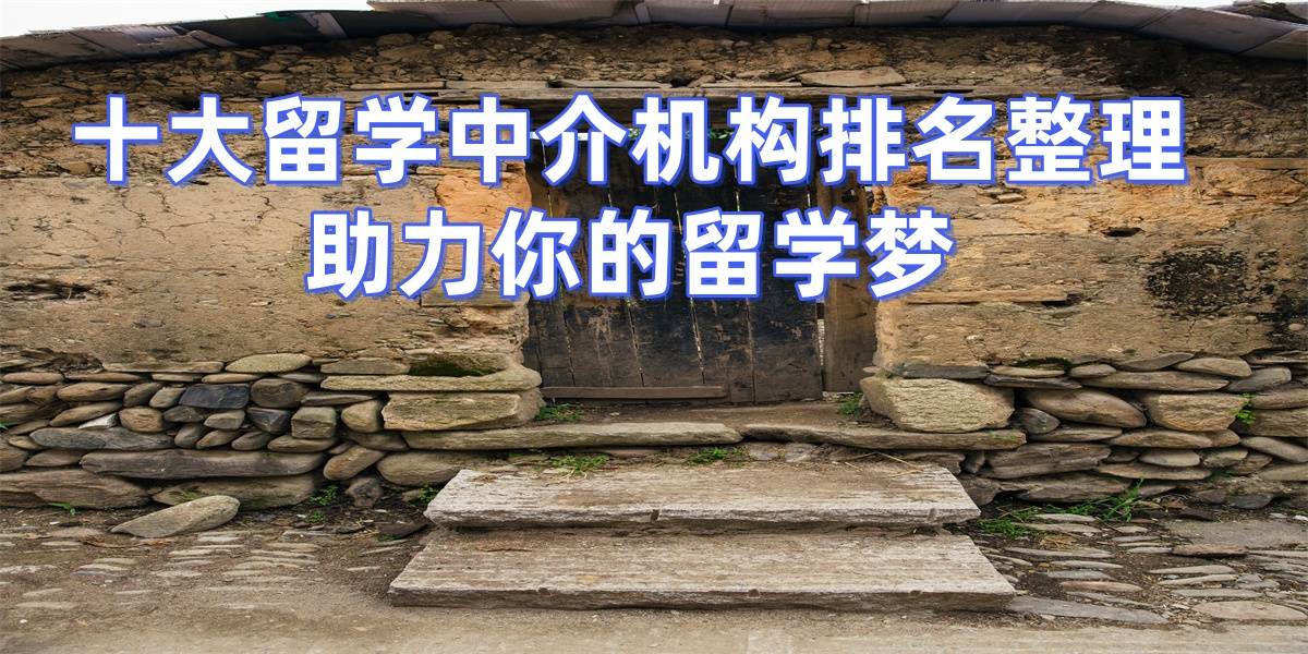 出国乐鱼体育- 乐鱼体育官网- APP世界杯指定平台留学中介十名