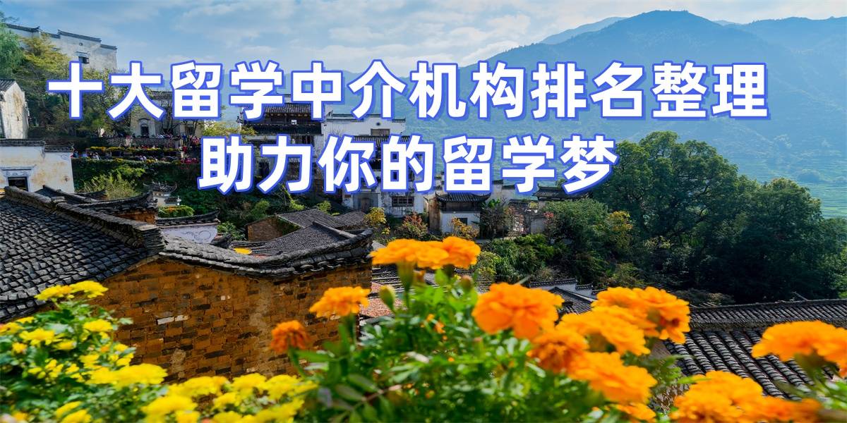杭州十大留学中介公司乐鱼体育- 乐鱼体育官网- APP世界杯指定平台排名