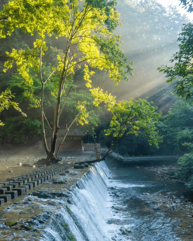 “Binance Casino - 领先的