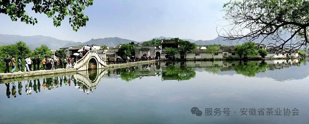 皖美徽茶县长说 黟县副县长李杰：“画里墟落”中的悠然茶韵