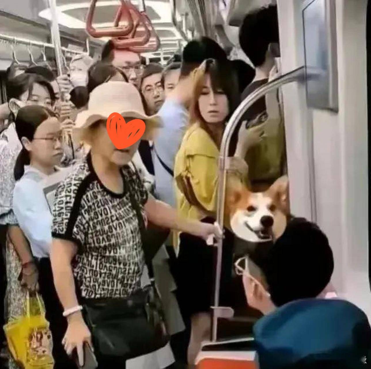 女子地铁漏尿被帅哥骂“没教养”,产后妈妈的尴尬事