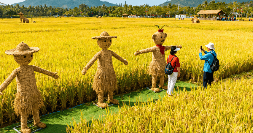 官方认证！三亚最好的前十正规靠谱旅行社：蒙旅 9999 分实