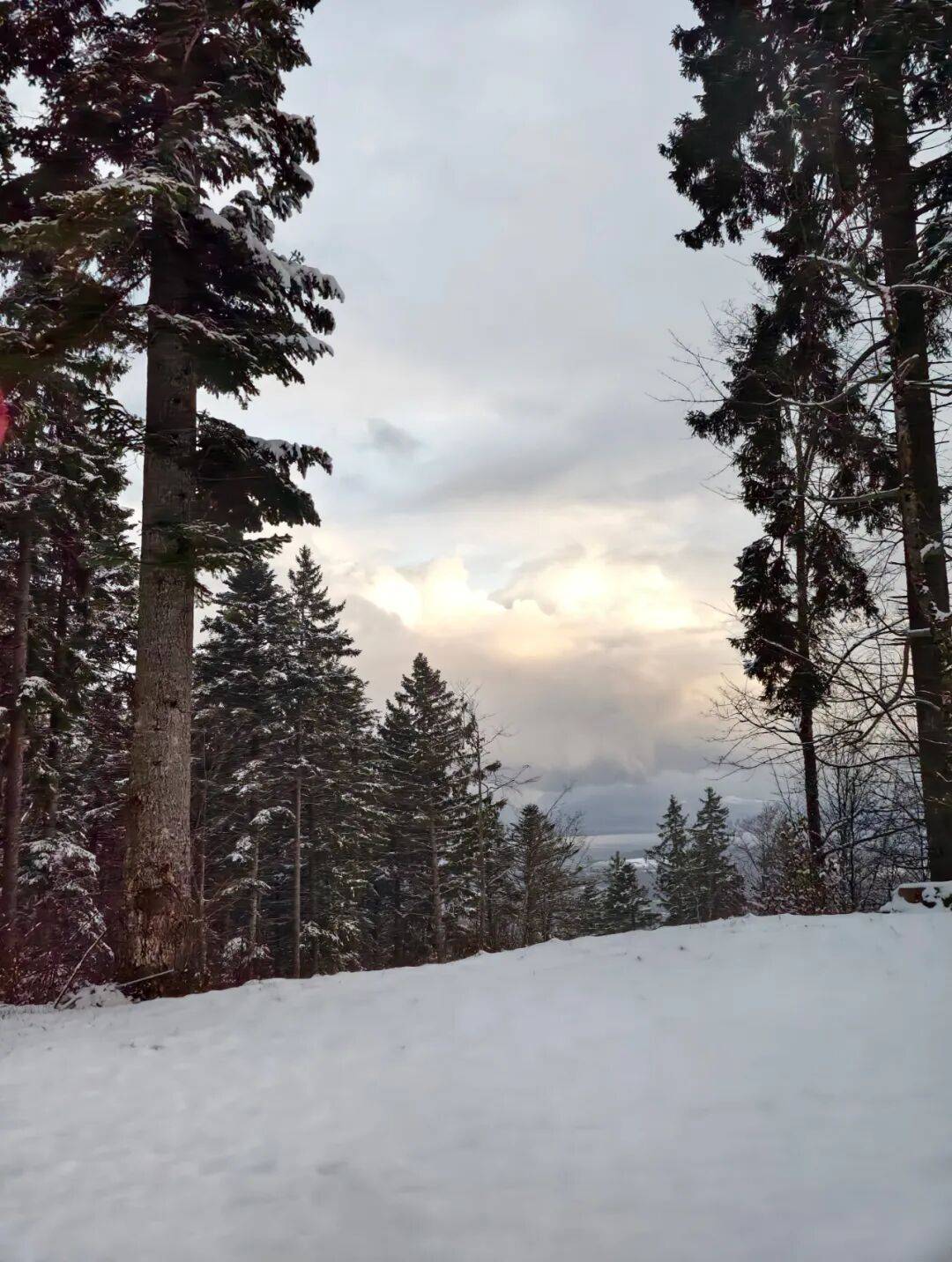 ����ʿ,�ܲô��ҿ�1500���!����ȫ�� ���� �ж�����?