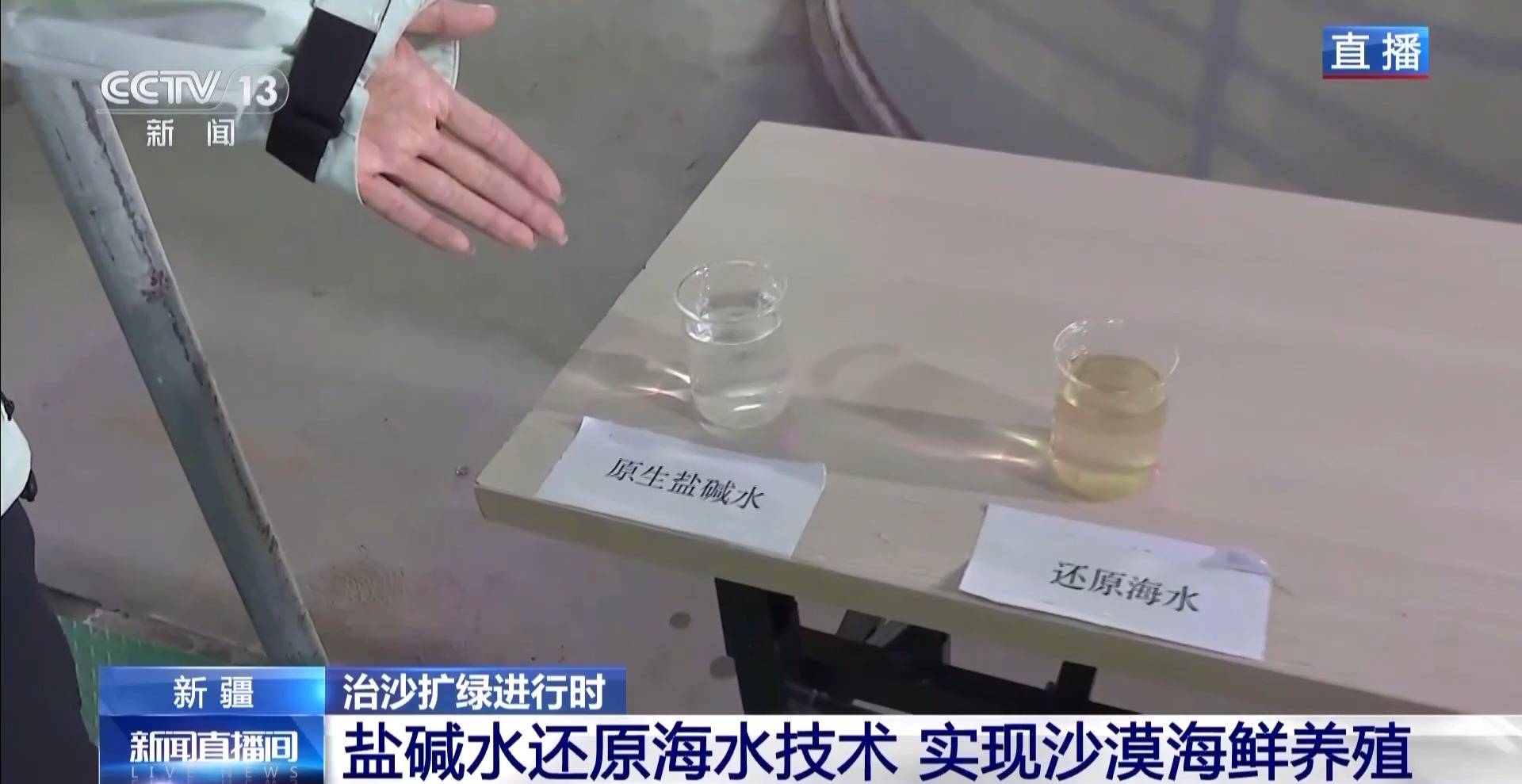 视频丨沙漠里如何养海鲜?解锁塔克拉玛干沙漠的水产养殖密码 视频丨沙漠里如何养海鲜?解锁塔克拉玛干沙漠的水产养殖密码