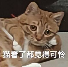 原创             京东外卖砸钱搞 “ 自提 ” ，竟是为了涨价？这操作妙啊...