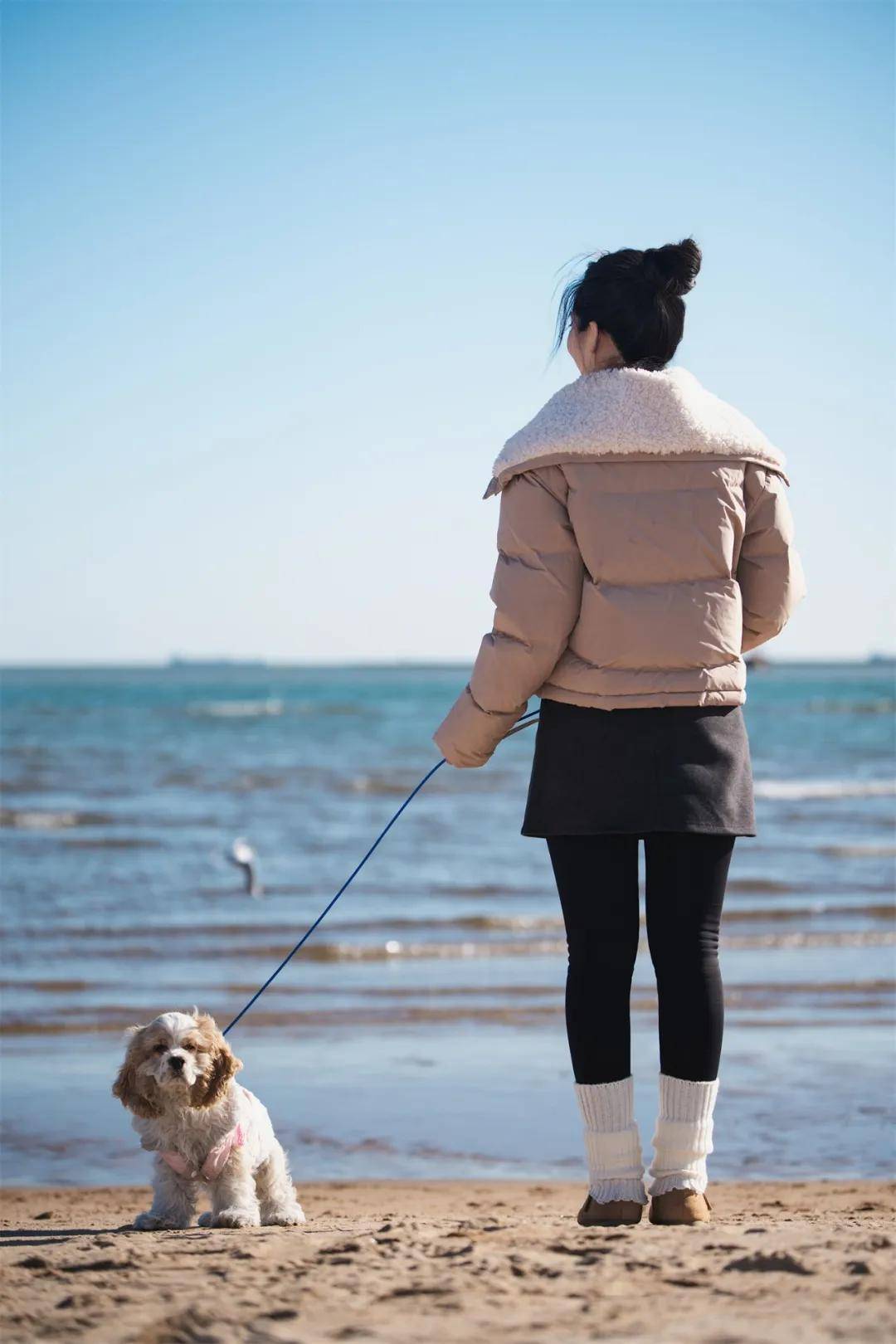 鲜食：馋鲜美味 宠爱加倍AG真人旗舰厅馋宠官宠物(图3)