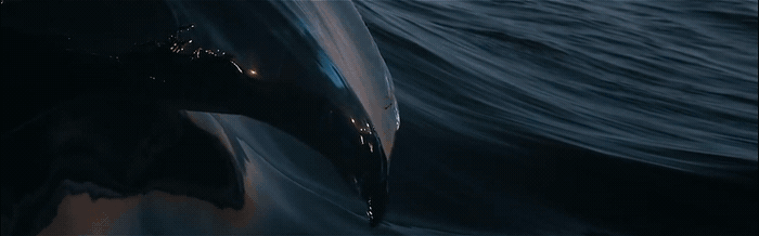 平博体育- 平博体育官网- APP下载七星潮鸣官網网站(20