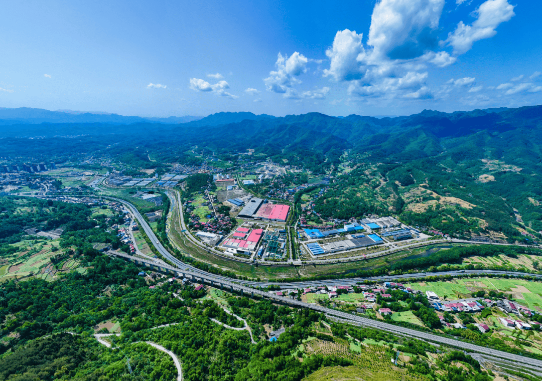 宁强县以天麻家产生态化助力“绿水青山即是金山银山”转化