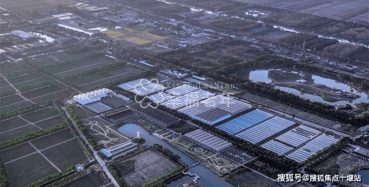 2026上海市崇明区海上花岛生态度假酒店收费标准预约电话开元棋牌- 开元棋牌官方网站- APP下载