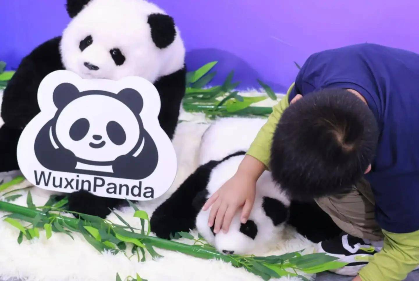 暴走2万步逛遍CES2026：9大方向最火，中企霸场，机器人全明星大乱斗