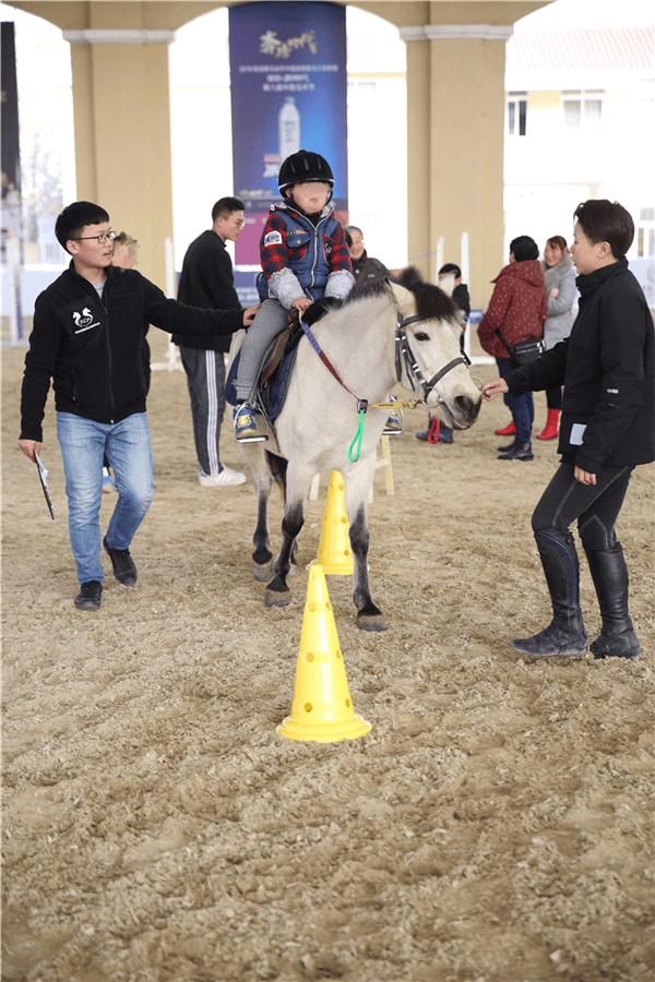 吕文扬体育之星深耕特殊儿童马术康复训练在
