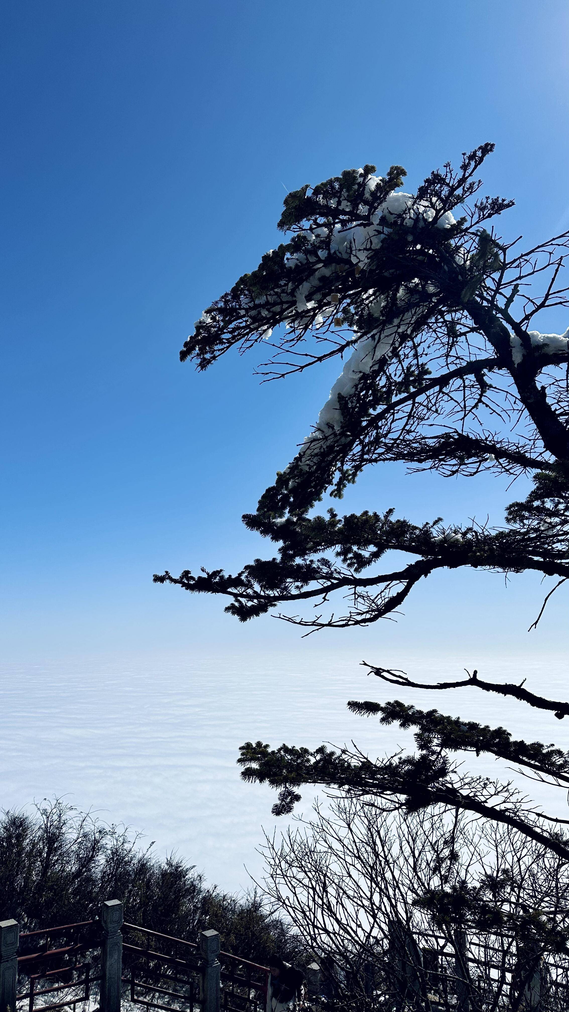 “Binance Casino - 领先的