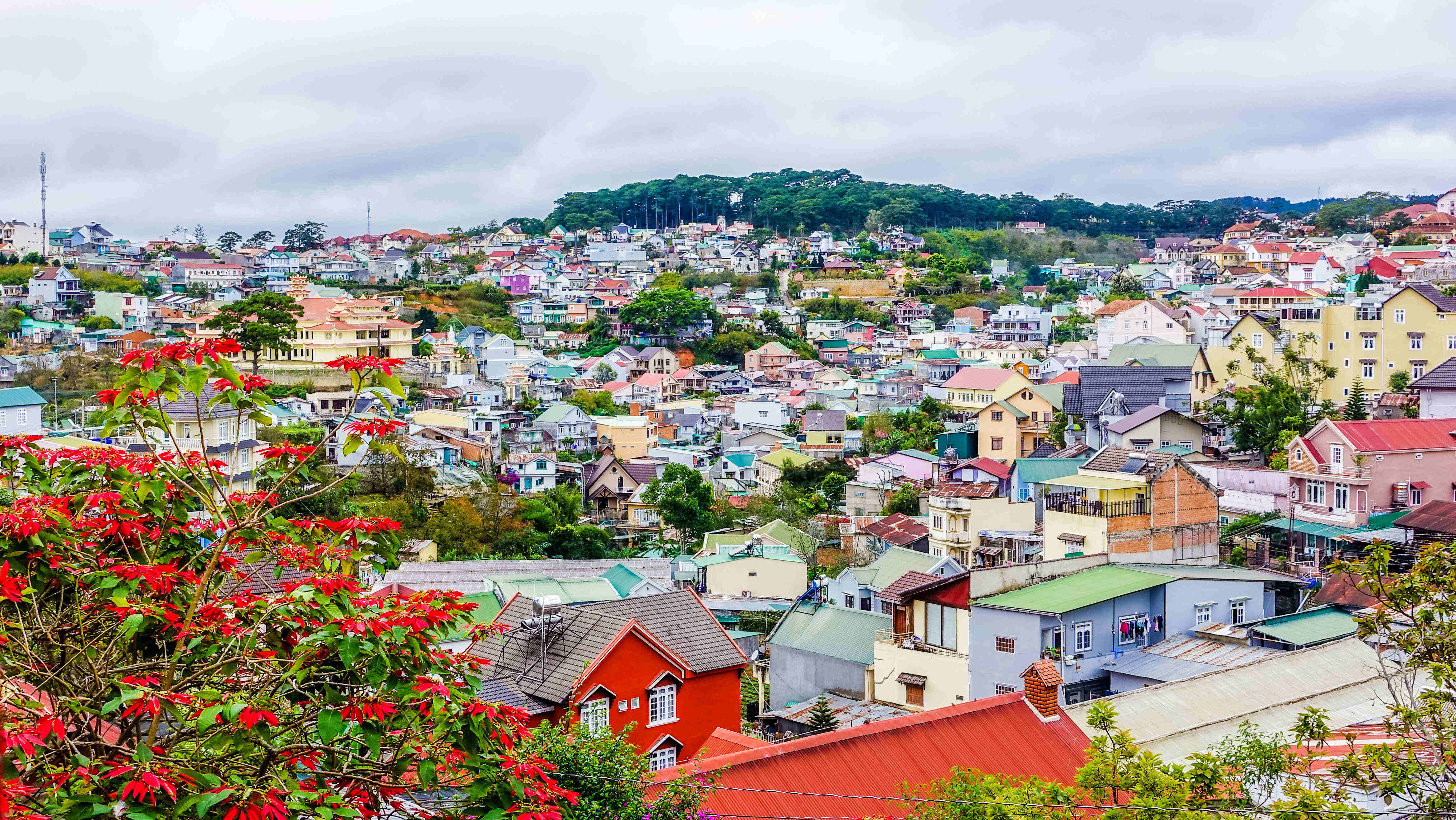 乐鱼体育- 乐鱼体育官网- APP世界杯指定平台杭州最好的硕士留学机构口碑好值得信赖的首选