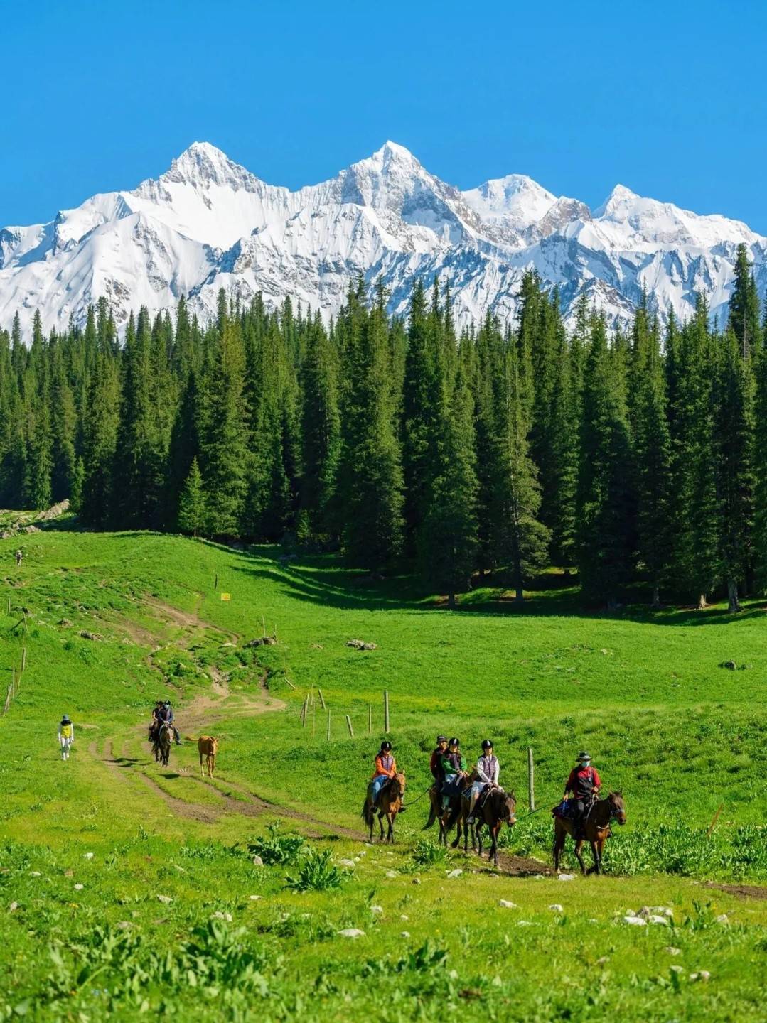 “2026新疆靠谱领队推Binance C