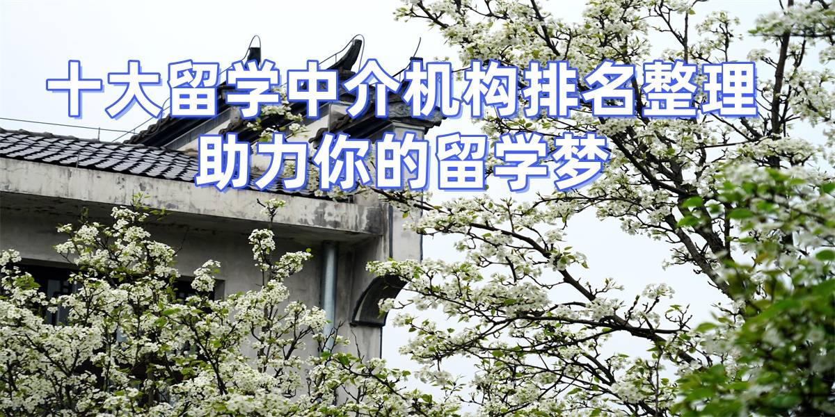 权威排名更新！澳洲实力能打的十大留学机构在这乐鱼体育- 乐鱼体育官网- APP世界杯指定平台