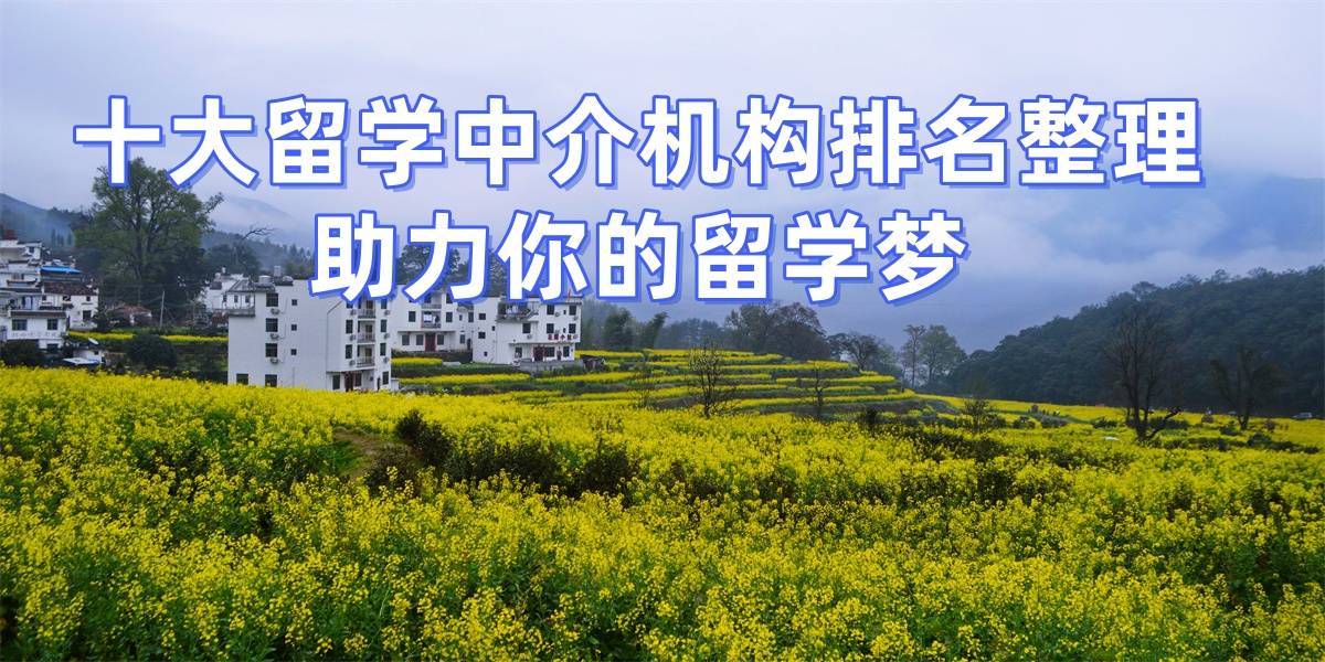 乐鱼体育- 乐鱼体育官网- APP世界杯指定平台成都留学机构排名2026年录取率高的机构解析