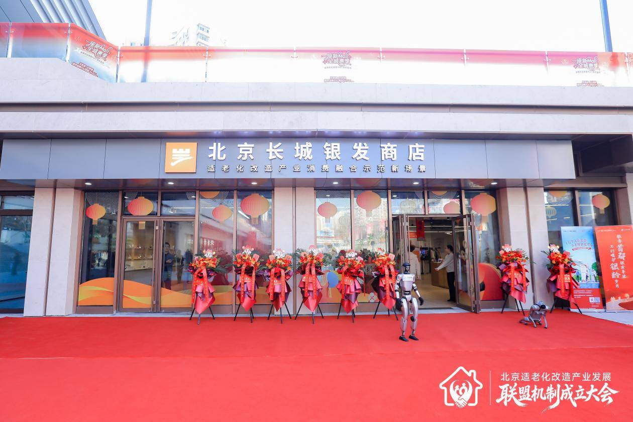 北京适老化改造产业发展联盟_北京现阶段交通基础设施对老年人出行的影响_北京长城银发商店