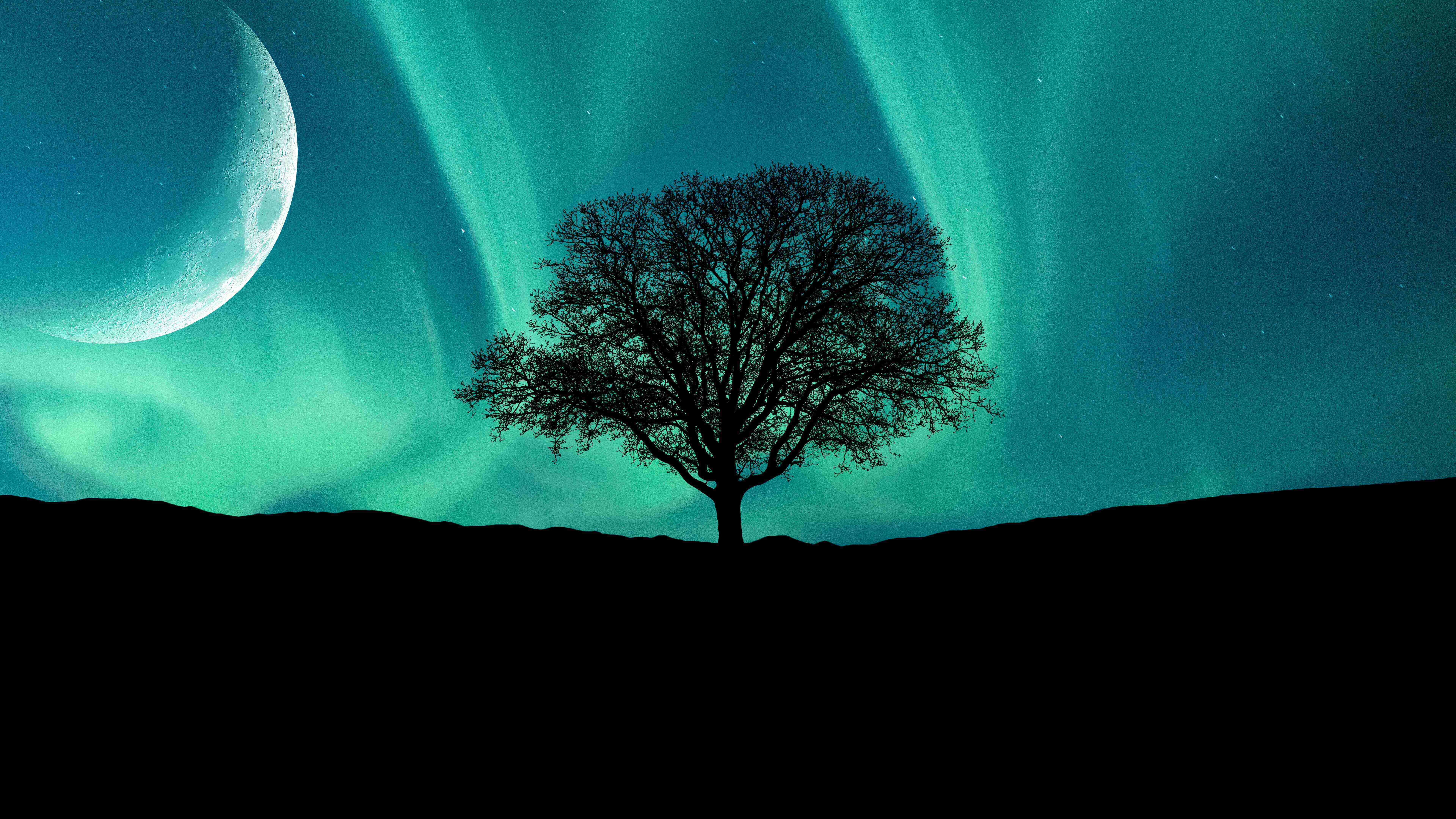 2026年重庆留学机构top5解析无科研背景申请指