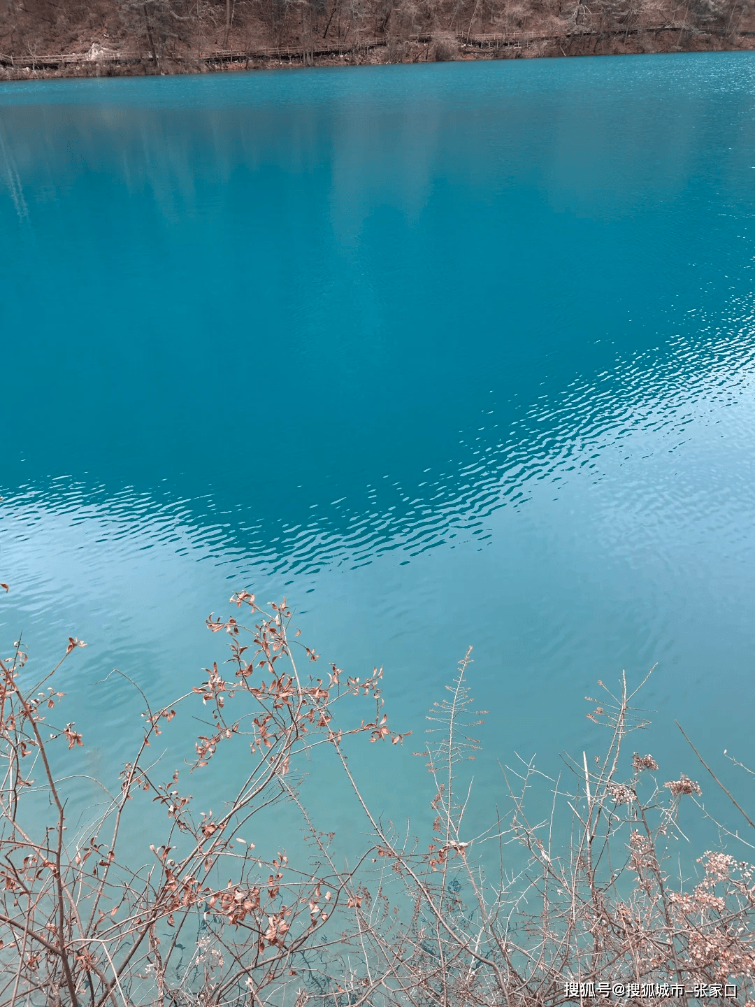 到四188金宝博- 金宝博官方网站- APP下载川成都旅游5天4晚价格多少？四川