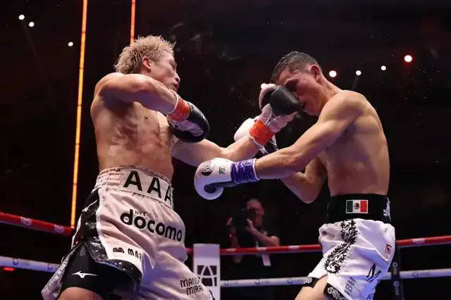 2025年拳手收入飙升他狂赚逾亿美元荣登