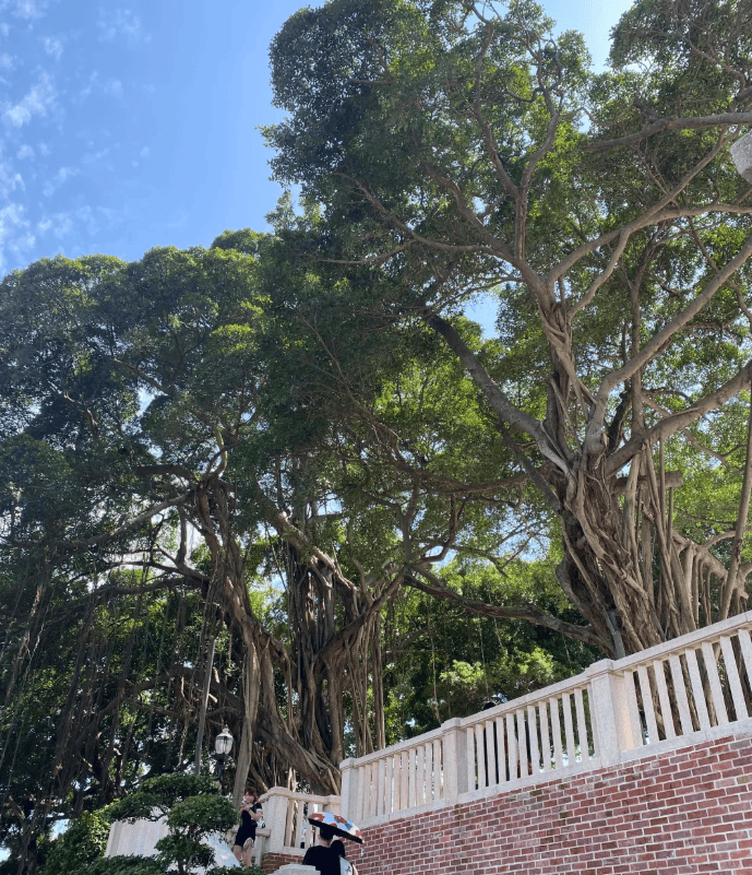 厦门旅游景点大全速览！厦门五天四晚旅游攻