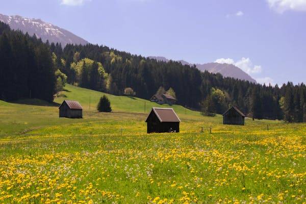 想去匈牙利农业与生命科学大学读硕士？找沈