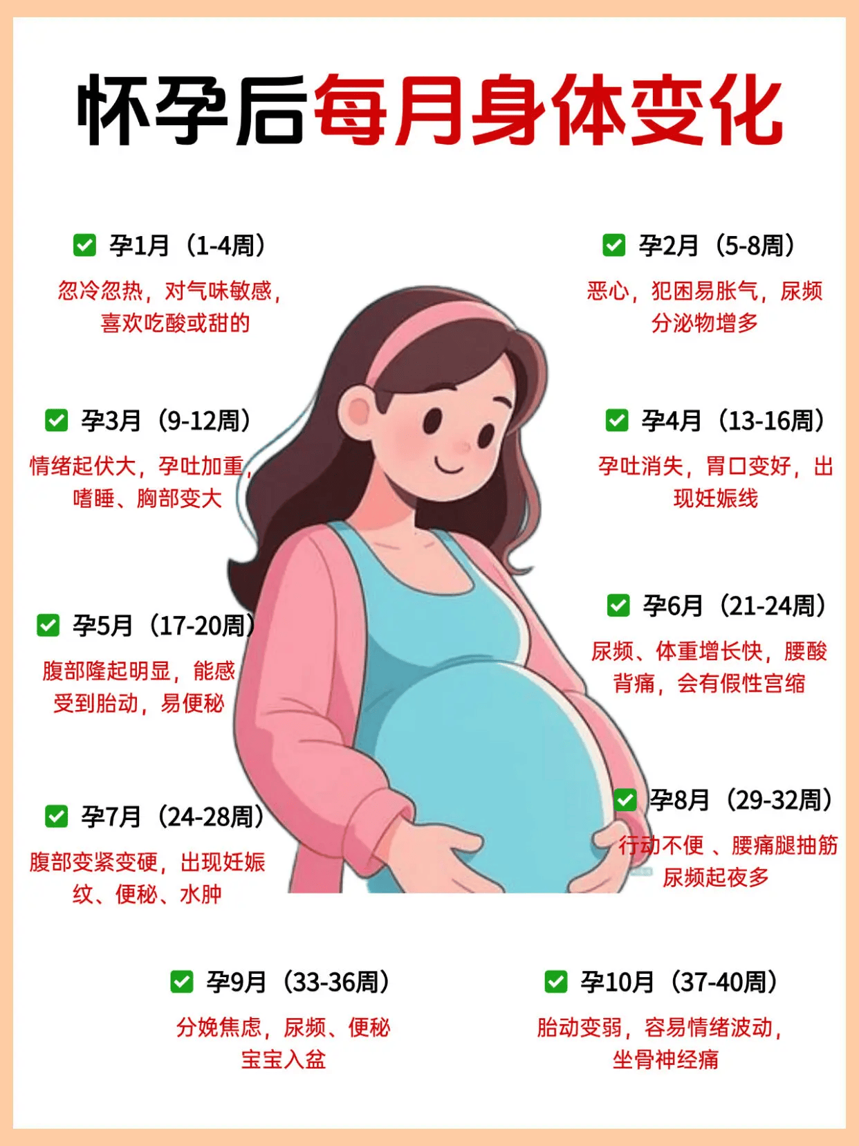 怀孕1-40周胎儿发育!新手孕妈实用攻略