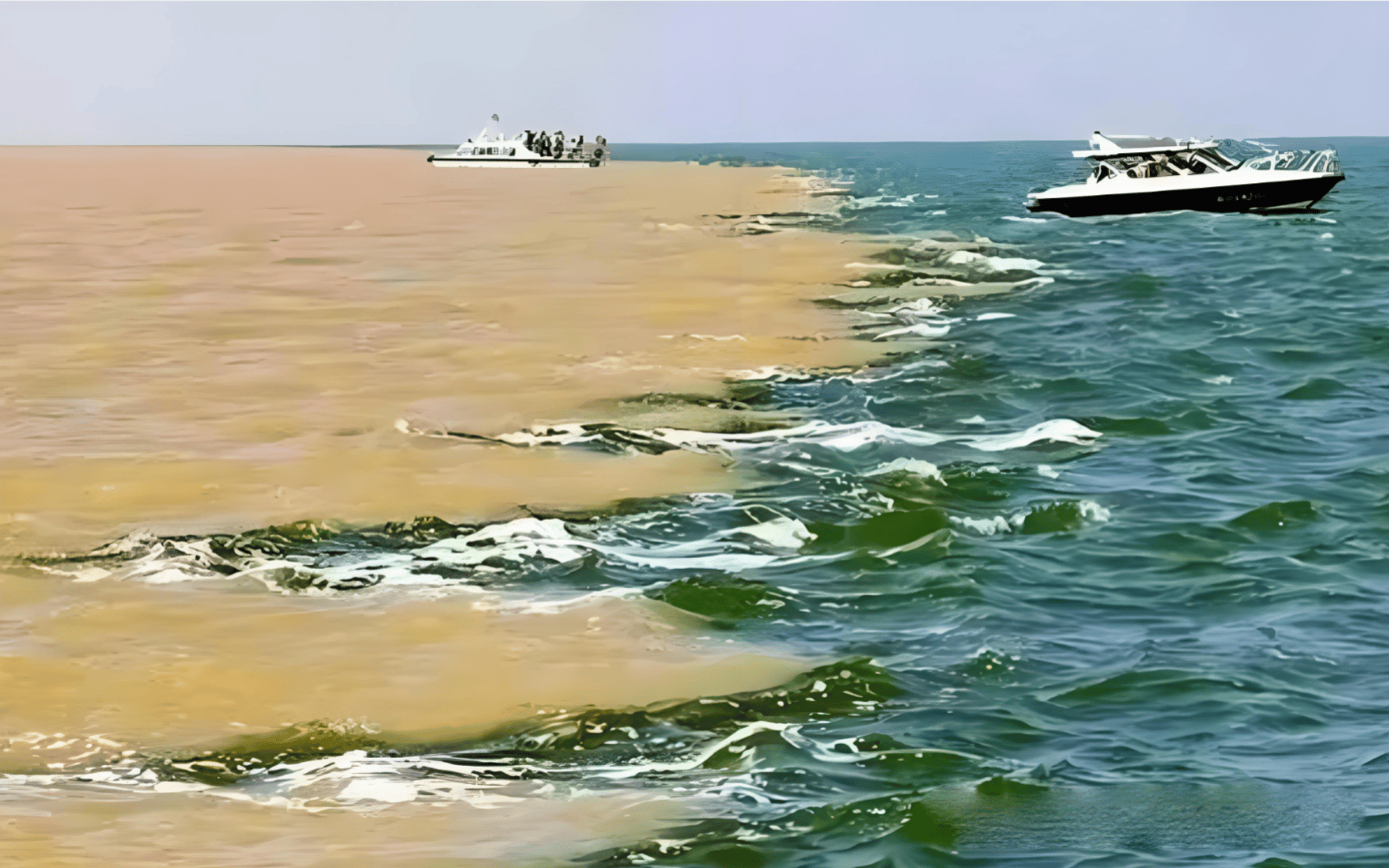 
        黄河携带大量黄河大鲤鱼冲入渤海，为啥入海口周边没形成死鱼带？ 怪事！黄河鱼入海，咋没被海水呛死？淡水鱼入海不直接翻白肚吗？