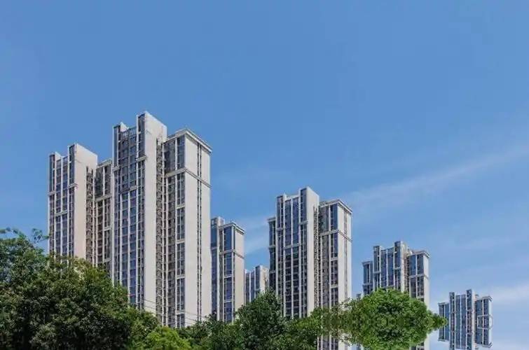 文章配图-4
