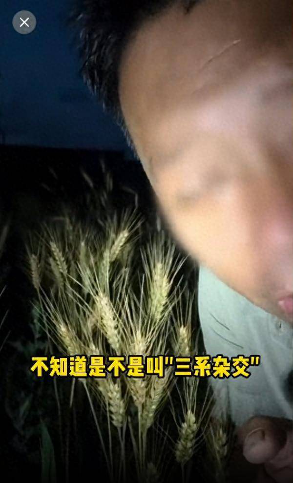 诋毁袁隆平成果的网红仍在直播卖货！面对舆论狂言：大不了进去！