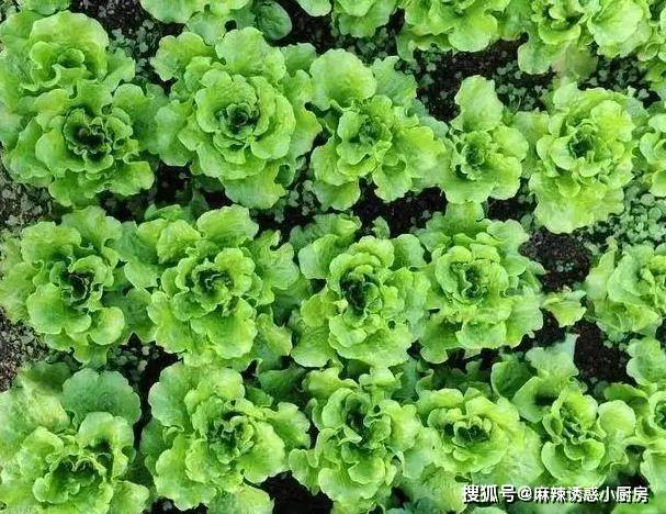 
        四川人饮食以辣为主，但辣椒明朝才传到中国，之前他们吃的什么？