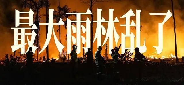 
        受害者+1，世界最大雨林，乱套了 | 地球知识局