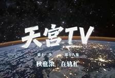 神舟二十三乘组在轨近四个月：开展病毒与免疫代谢的空间互作规律探究