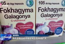 链通全球 蒜赢未来