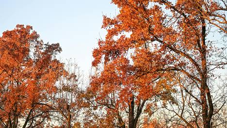 易烊千玺怎么能争气成这样