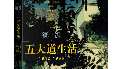 张柏芝生图比白瓷还白