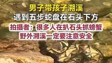 浙江男子带娃溯溪遇惊魂一幕：石头下盘着1.5米长的五步蛇，还好发现及时，当时有很多游客