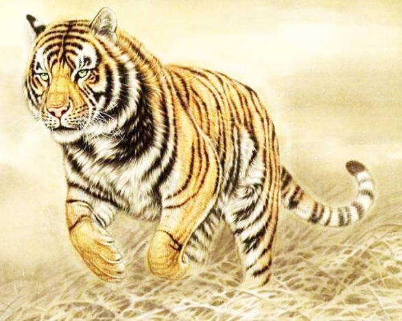 肖指导发与孙颖莎王楚钦拥抱照片