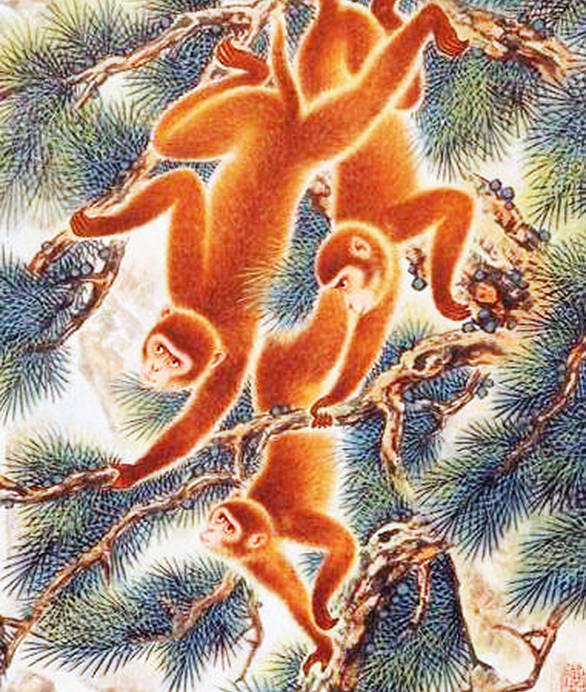 单依纯唱言不由衷