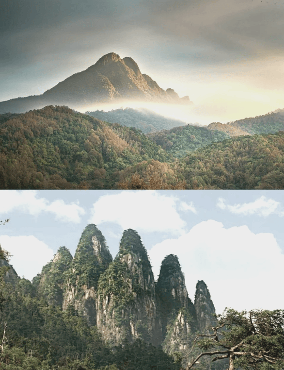 爷爷不泡茶17元奶茶未开封只有半杯