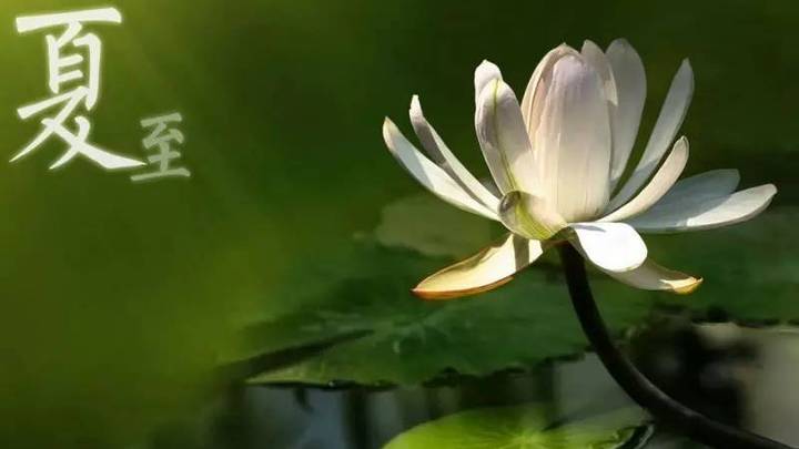 夏至,是阳气最旺盛的时刻吗?