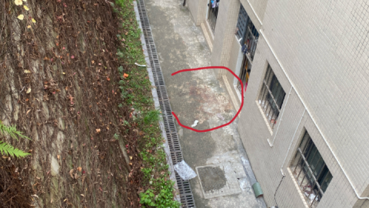 重庆一高校女生校内坠亡,疑生前和舍友发生口角,学校应该承担法律责任吗?