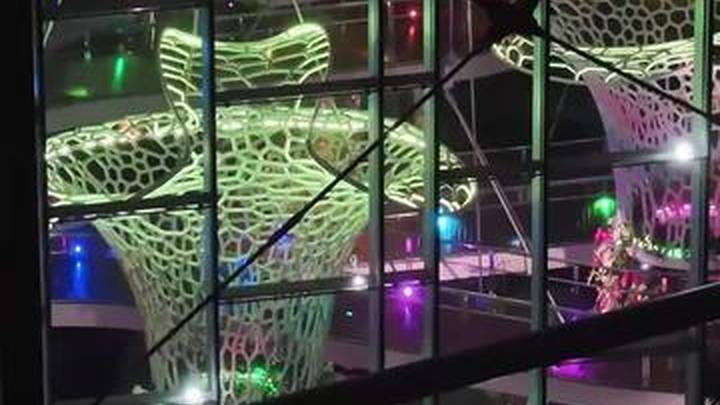 上海温室花园开启夜游模式,你去过吗?